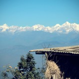 edit-IMG_3946