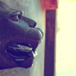 edit-IMG_4100