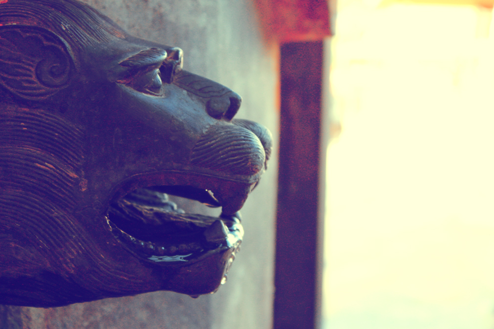edit-IMG_4100