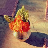 edit-IMG_4119