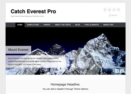 Catch Everest Pro