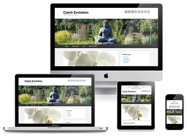 Catch Evolution Pro: Clean & Sleek WordPress Theme