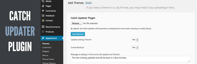 Catch Updater Plugin Image