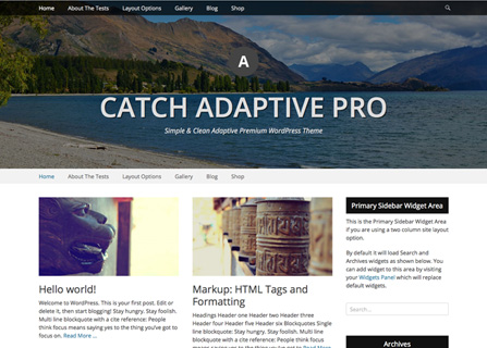 Catch Adaptive Pro WordPress Theme