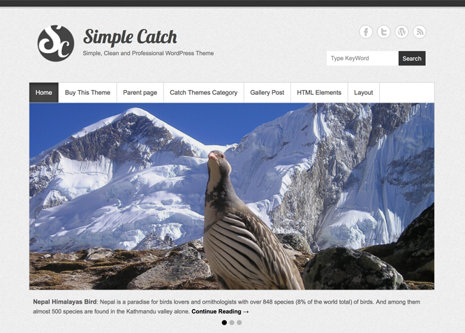 Simple Catch Is A Simple Wordpress Theme Free Wordpress Themes - moves like jagger roblox music id