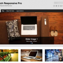 Catch Responsive Pro WordPress Theme