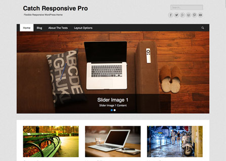 Catch Responsive Pro WordPress Theme Screenshot