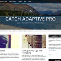 Catch Adaptive Pro WordPress Theme