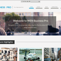 Web Business Pro Theme