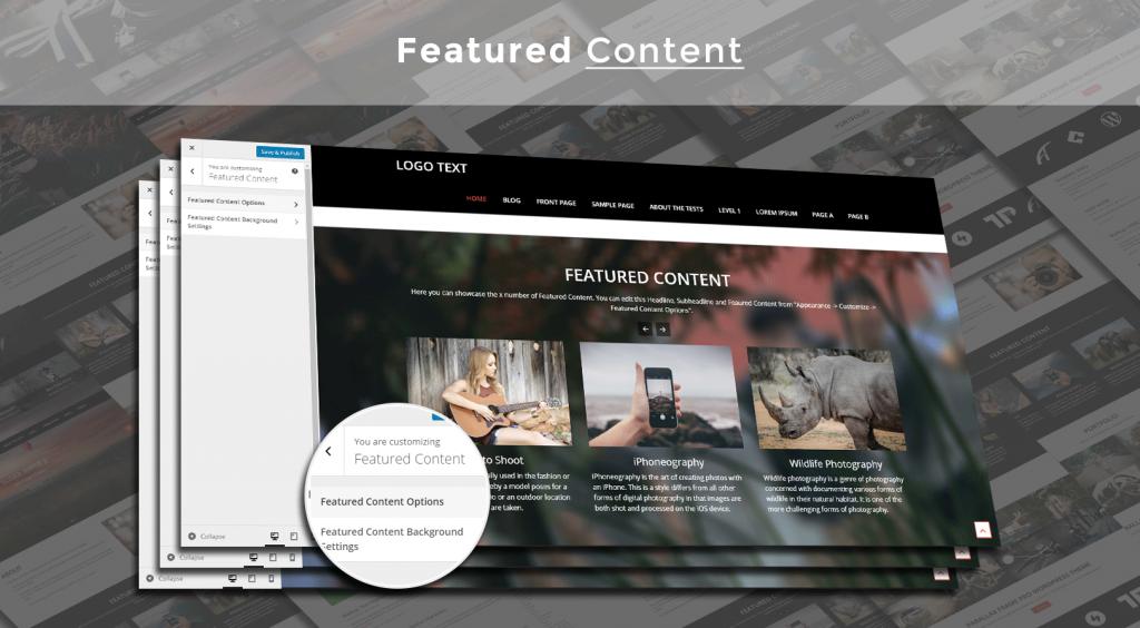 WordPress theme for Corporates