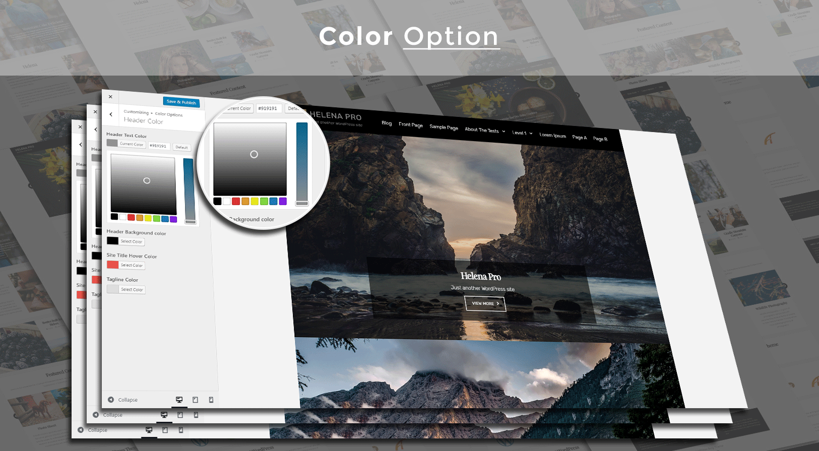 color_options