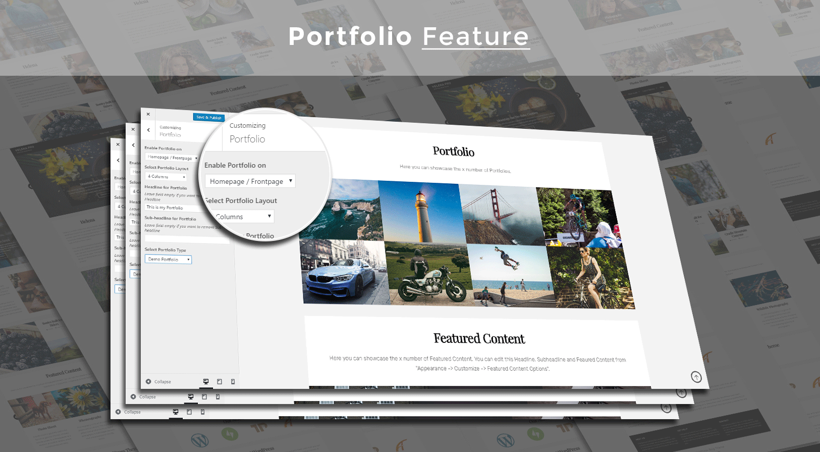 portfolio