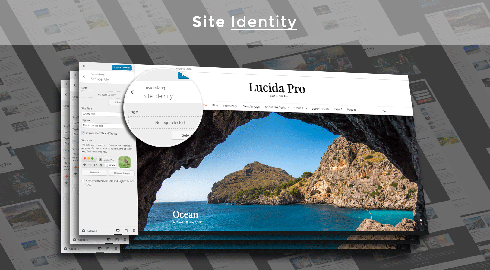 site_identity