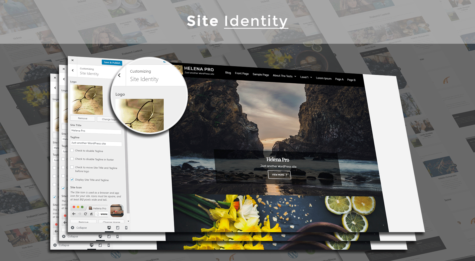 site_identity