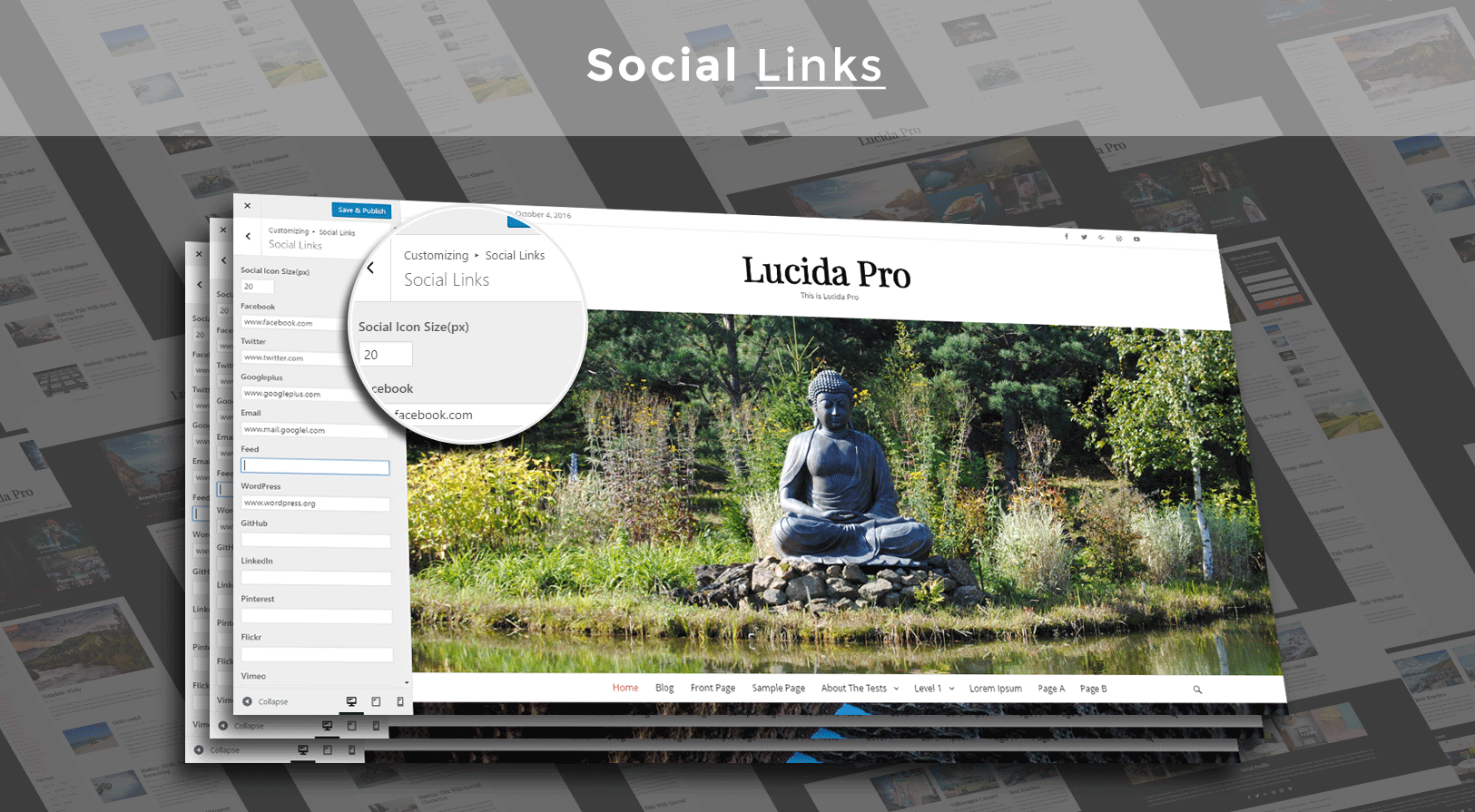 social_links