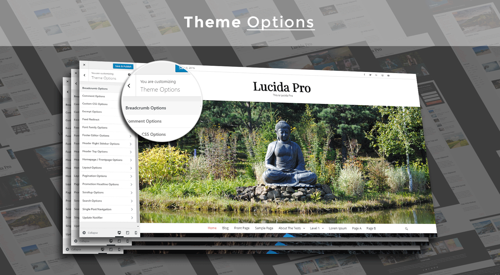 theme_options