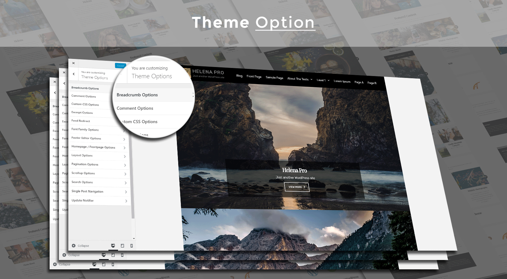 theme_options