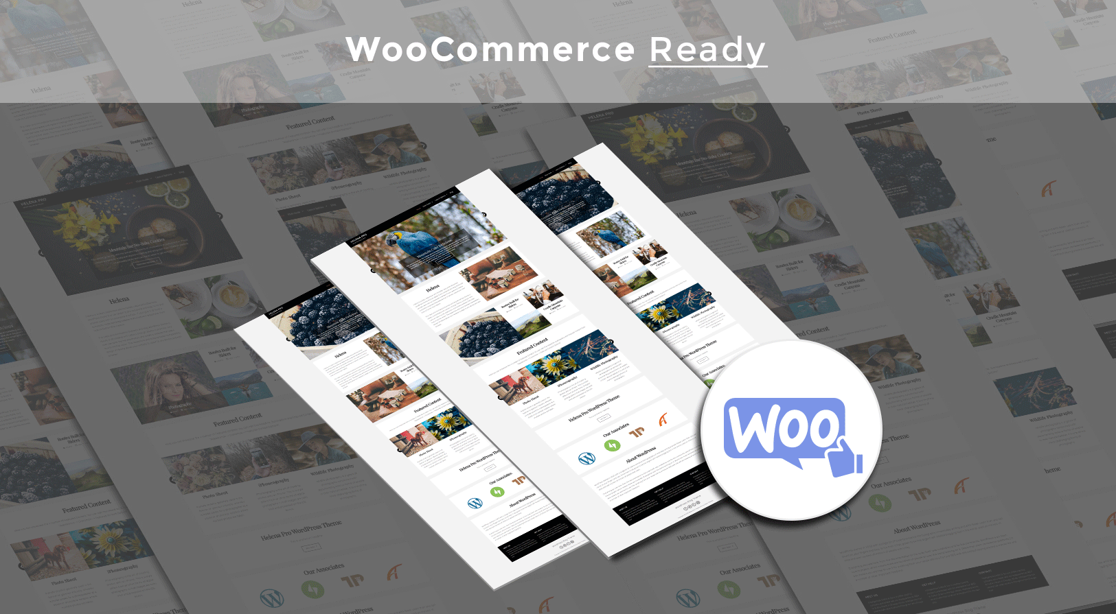 woocommerce_ready