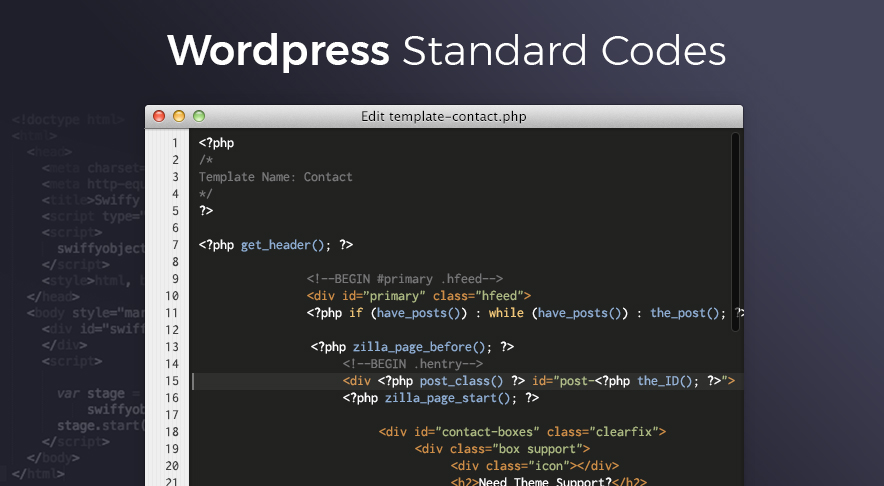 WordPress Standard Coding Screenshot