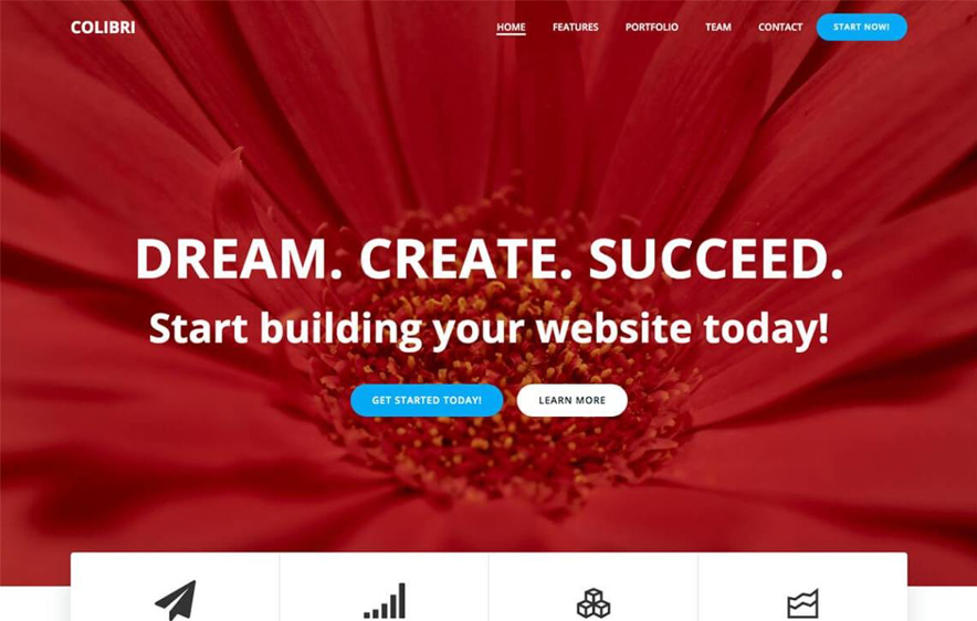 Colibri Free WordPress Theme