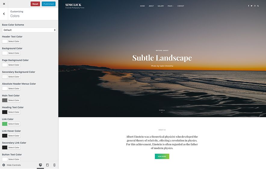 SimClick Pro – A Premium Photography WordPress Theme Color Options Screenshot