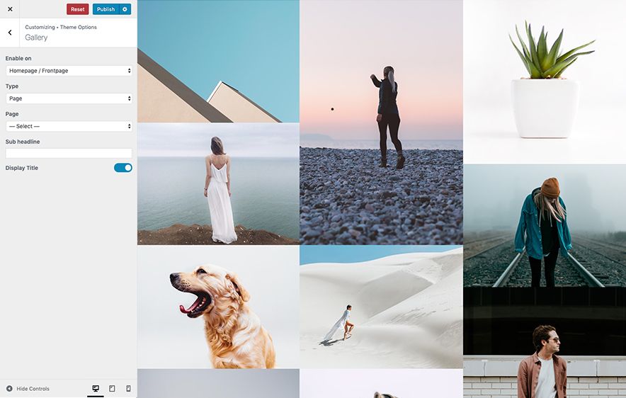 SimClick Pro – A Premium Photography WordPress Theme - Gallery Layout Screenshot