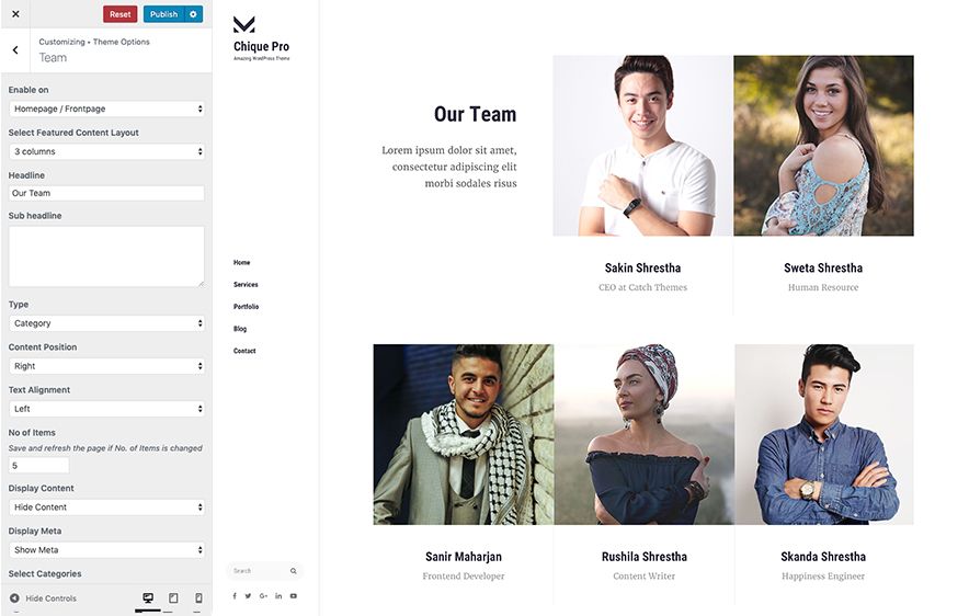 Team Module in Chique Pro Premium Fashion WordPress Theme