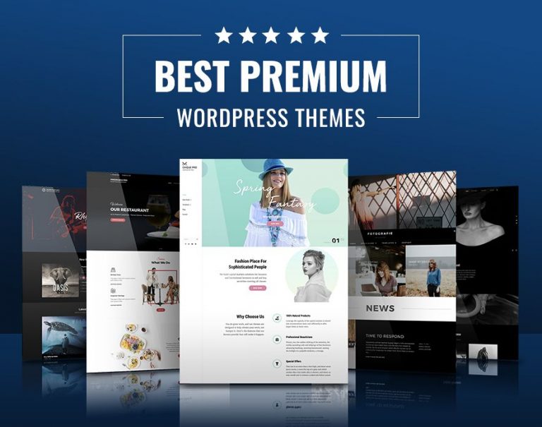 25 Best Premium WordPress Themes 2020 - Catch Themes