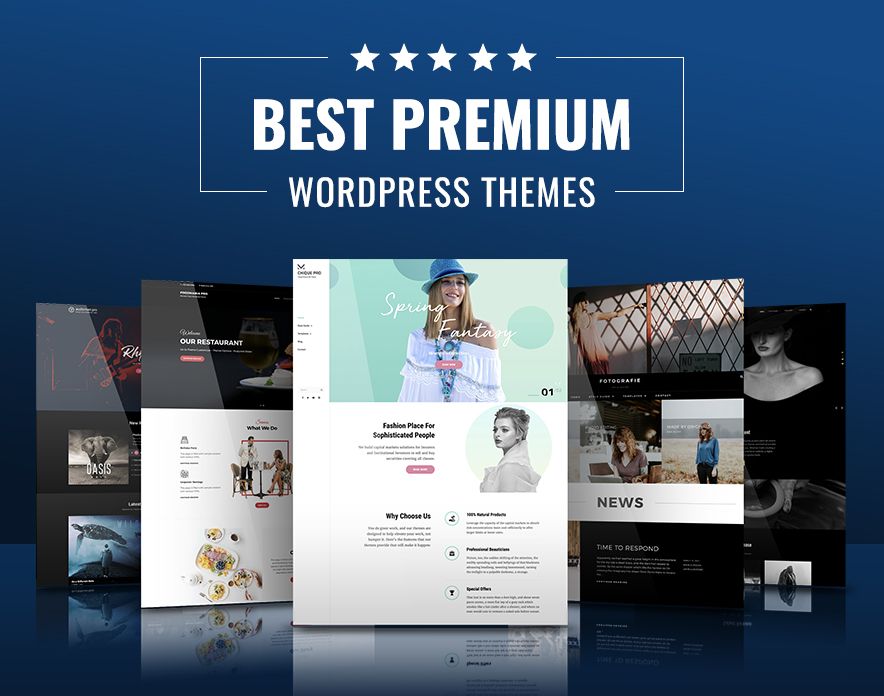 premium woocommerce theme