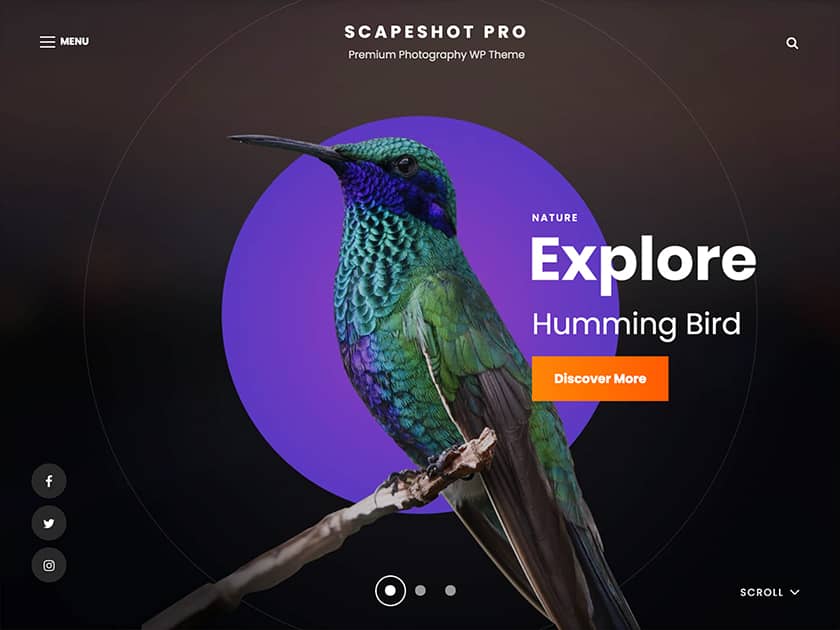 ScapeShot Pro - Our Top 10+ Free and Premium Photography WordPress Themes Collection 2022 