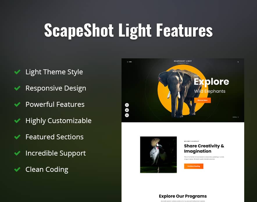 ScapeShot Light Features Image