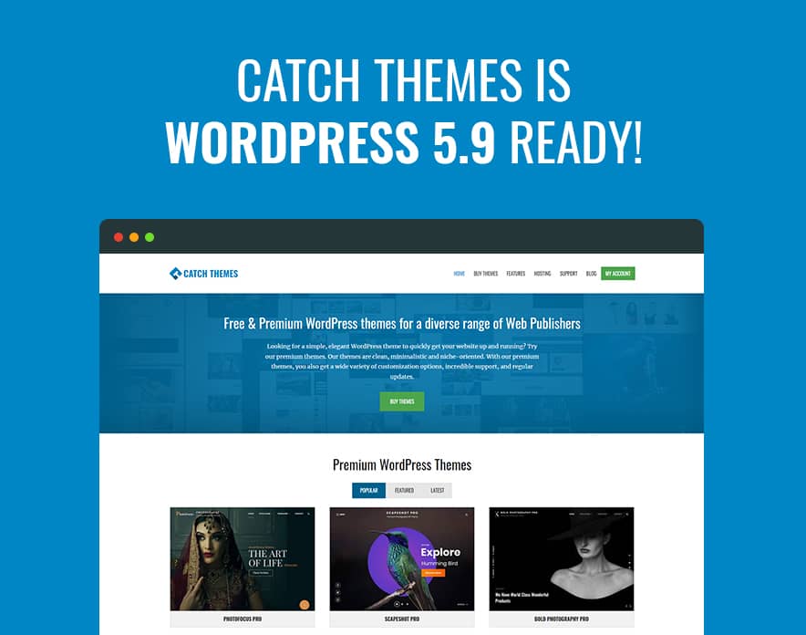 Catch Themes is now WordPress 5.9 Ready main image
