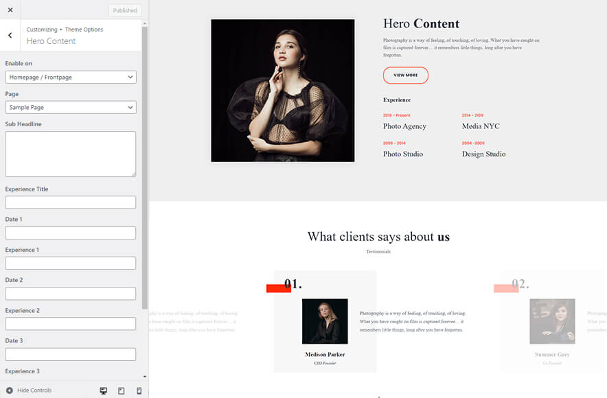 Darcie Light - Photography WordPress Theme Hero Content